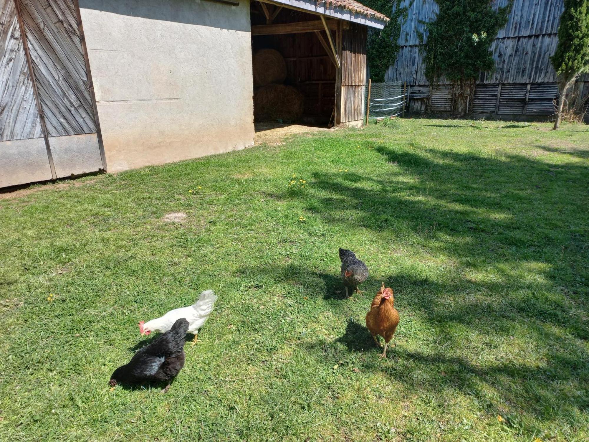 Sainte-Livrade-sur-Lot L' Embellie Sur Lot Bed & Breakfast エクステリア 写真